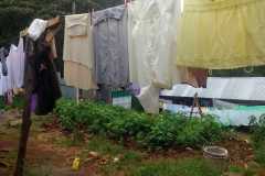 Vijf grote en zes kleine woningen bewoond
